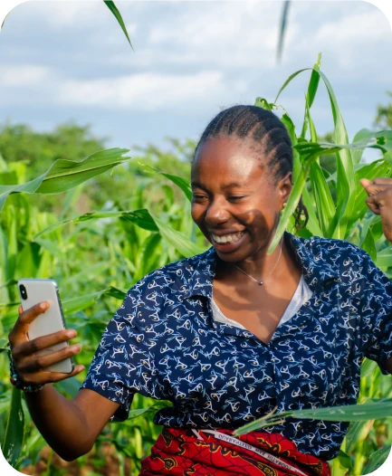 Farmer checking her phone in a maize field