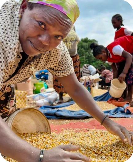 Farmer sorting grain