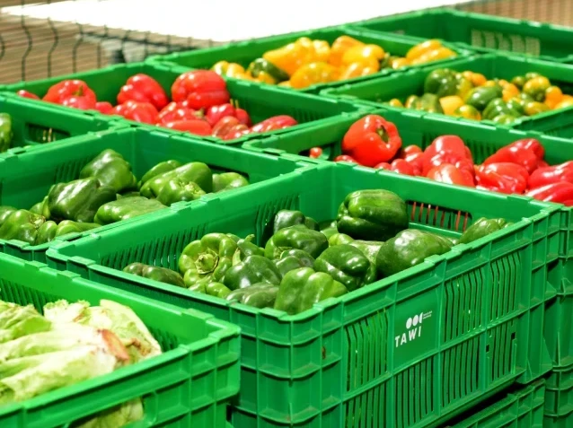 Crates of fresh peppers and vegetables
