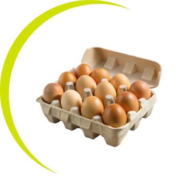Tray of farm-fresh eggs